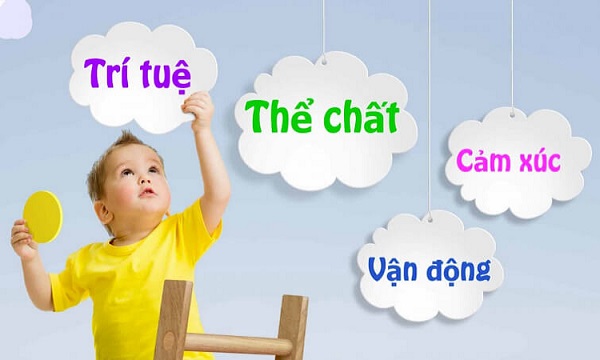 Sữa công thức phát triển toàn diện cho trẻ sơ sinh và trẻ nhỏ Sữa công thức phát triển toàn diện cho trẻ sơ sinh và trẻ nhỏ