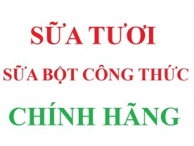 Sữa Chính Hãng