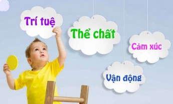 Các sữa công thức phát triển toàn diện cho trẻ sơ sinh và trẻ nhỏ