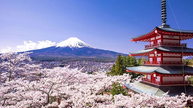 chương trình khuyến mãi sữa snow baby nội địa nhật bản