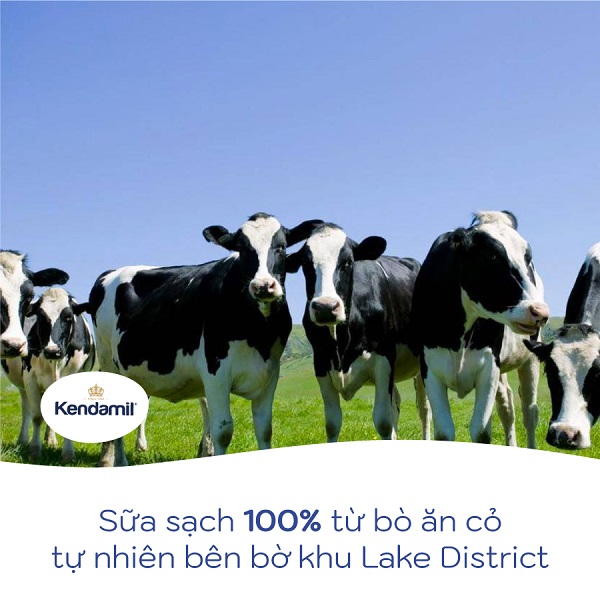 chương trình khuyến mãi sữa kendamil organic anh