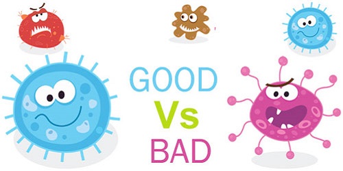 Sữa Blackmores Úc số 1 lon 900g cho trẻ 0-6 tháng