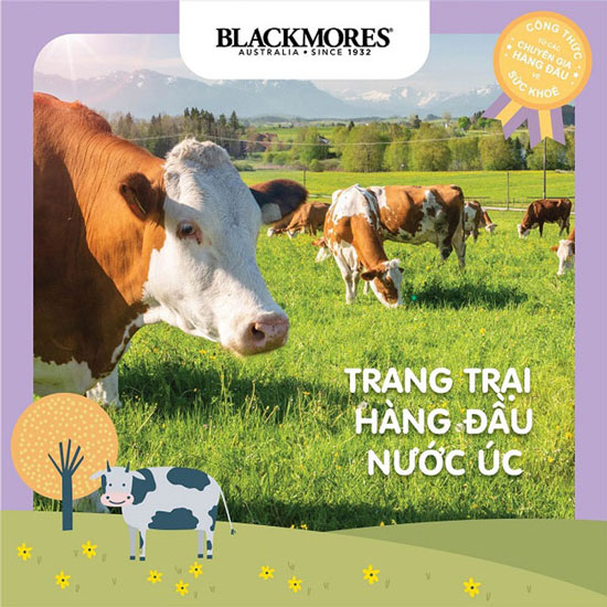 Sữa Blackmores Úc số 3 lon 900g cho trẻ từ 12 tháng