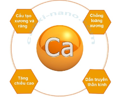 Sữa bột I am Mother 1 lon 400g cho trẻ 0-3 tháng tuổi