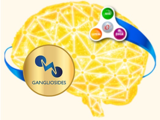 Sữa bột Nutifood Grow Plus Vàng 0+ lon 800g cho trẻ từ 0-12 tháng