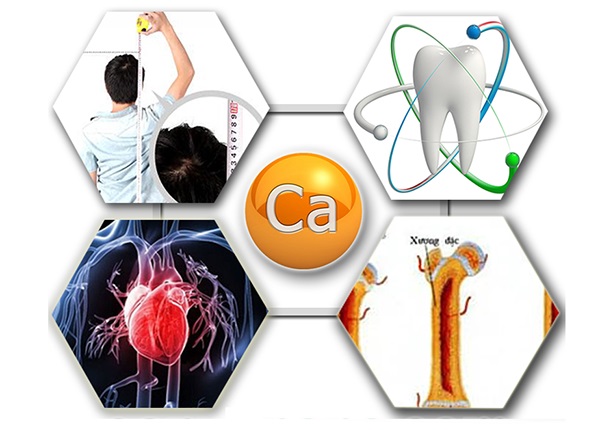 Sữa bột pha sẵn Dielac Grow Plus hộp 180ml