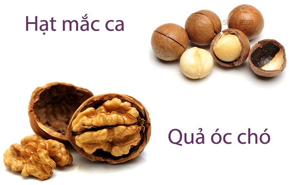 Sữa hạt TH True Nut hạt và gạo lứt đỏ hộp 180ml
