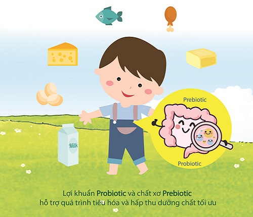 Sữa Hipp Combiotic số 1 lon 800g, 0-6 tháng tuổi