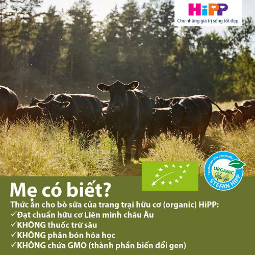 Sữa Hipp Combiotic số 2 800g cho trẻ 6-12 tháng tuổi