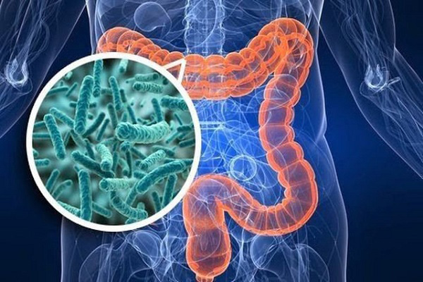 Sữa Hipp Combiotic số 2 800g cho trẻ 6-12 tháng tuổi