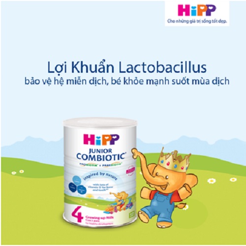 Sữa HiPP Junior Combiotic số 4 lon 800g cho trẻ trên 3 tuổi
