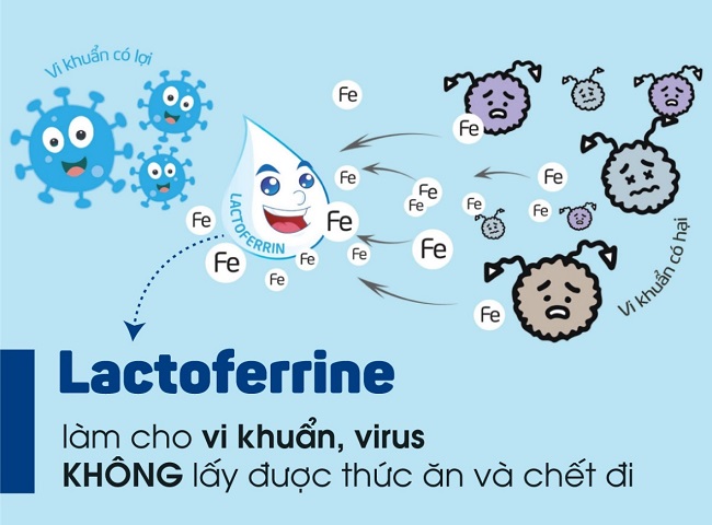 Sữa Meiji infant formula dạng thanh nhập khẩu cho trẻ từ  0-1 tuổi