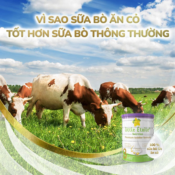 Sữa Ngôi sao nhỏ Úc Little Étoile số 3 lon 800g cho trẻ từ 1-3 tuổi