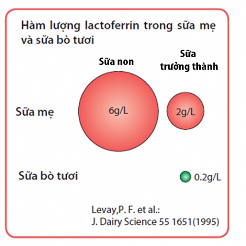 Sữa non ILdong Hàn Quốc số 1 cho trẻ 0-1 tuổi