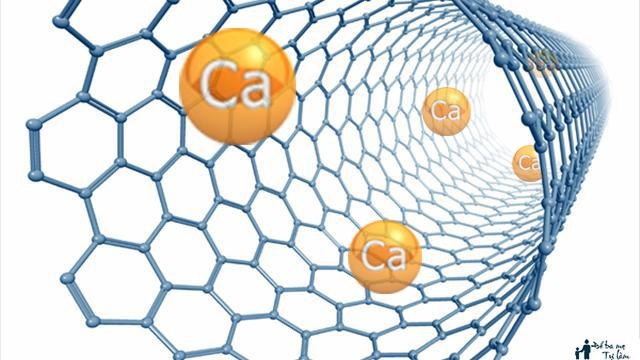 Sữa Nucalci Gold lon 800g dinh dưỡng xương chắc cho người từ 51 tuổi