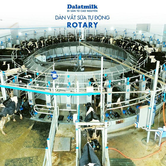 Sữa Tươi Dalatmilk vị tự nhiên nguyên chất hộp 180ml