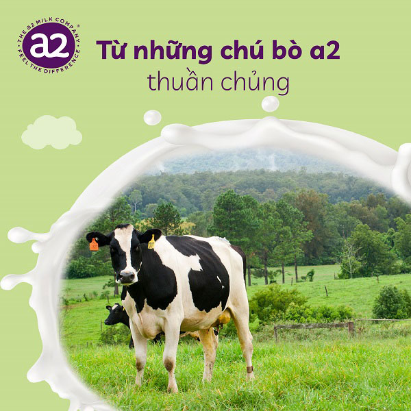 Sữa tươi nguyên kem A2 Úc hộp 1 lít