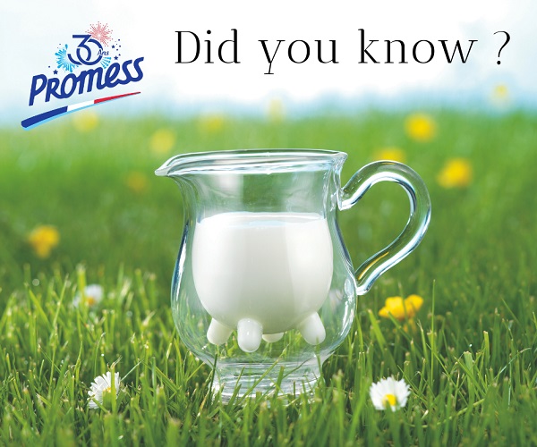 Sữa tươi nguyên kem Promess Organic Pháp hộp 1 Lít