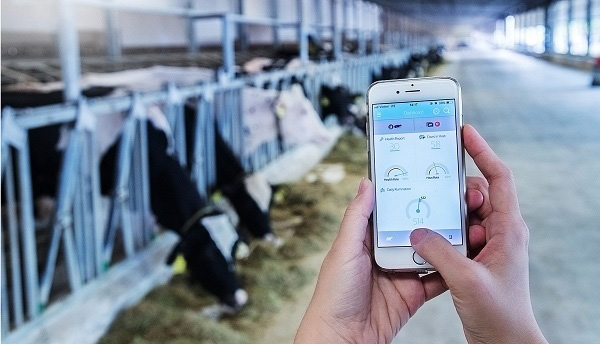 Sữa tươi Vinamilk có đường hộp 180ml