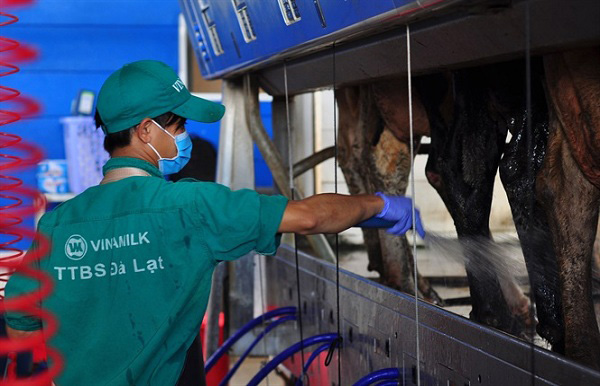 Sữa tươi Vinamilk ít đường hộp 180ml