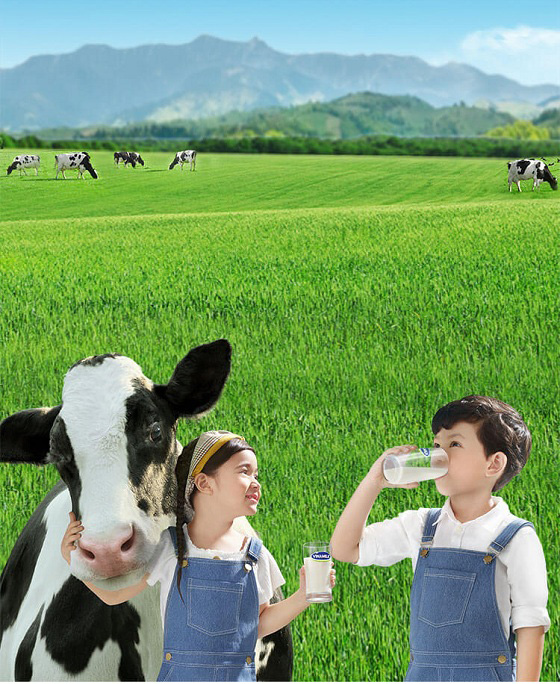 Sữa tươi Vinamilk Socola hộp 180ml