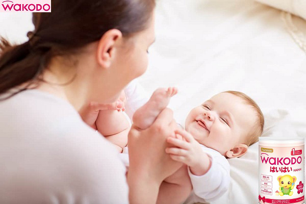 Combo Sữa Wakodo số 1 lon 810g cho trẻ 0 đến 12 tháng tuổi