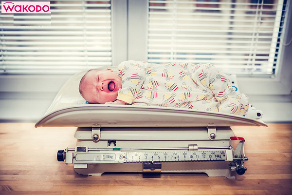 Combo Sữa Wakodo số 1 lon 810g cho trẻ 0 đến 12 tháng tuổi