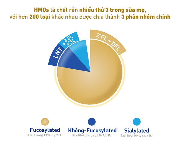 Combo Sữa Wakodo số 1 lon 810g cho trẻ 0 đến 12 tháng tuổi