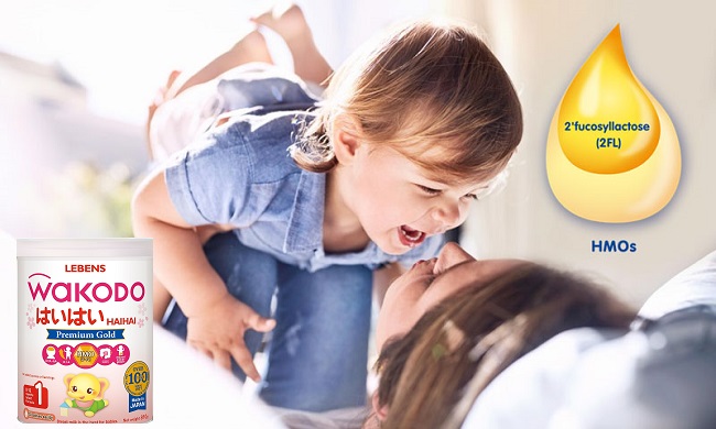 Combo Sữa Wakodo số 1 lon 810g cho trẻ 0 đến 12 tháng tuổi