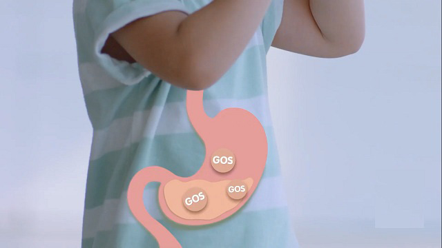 Combo Sữa Wakodo số 3 lon 830g cho trẻ trên 3 tuổi