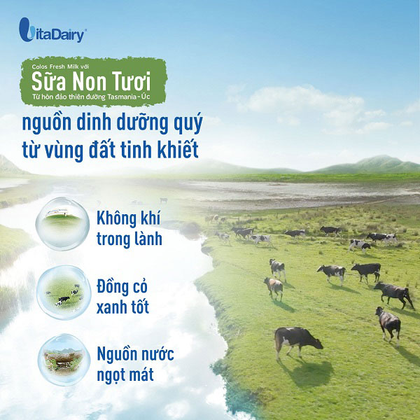 Sữa tươi moozi úc ít đường hộp 180ml