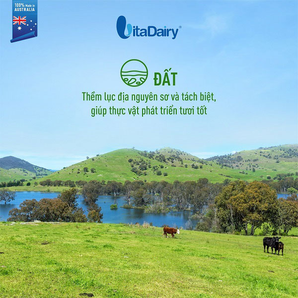 Sữa tươi moozi úc ít đường hộp 180ml