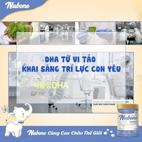 DHA từ vi tảo biển