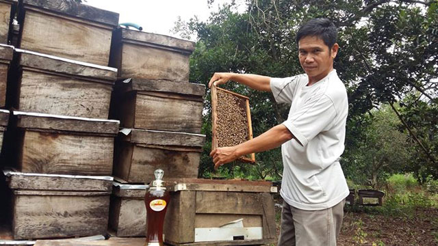 mật ong nguyên chất xuân lộc
