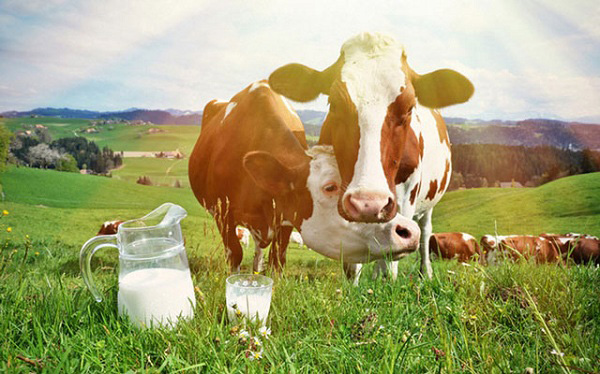 sữa dinh dưỡng có đường hộp 180ml