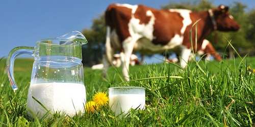 Sữa Bellamys Organic Úc số 4 cho trẻ trên 3 tuổi