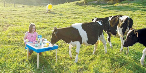 Bellamy Organic Milk No.  3 dành cho trẻ trên 1 tuổi nhập khẩu từ Úc