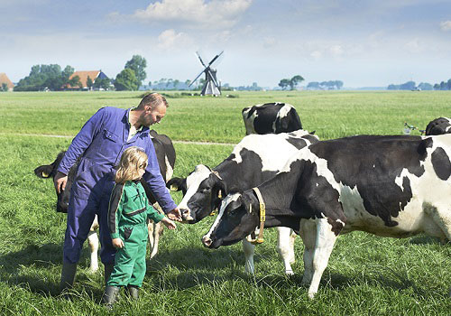 Sữa Bellamy Organic số 3 cho trẻ trên 1 tuổi nhập khẩu úc