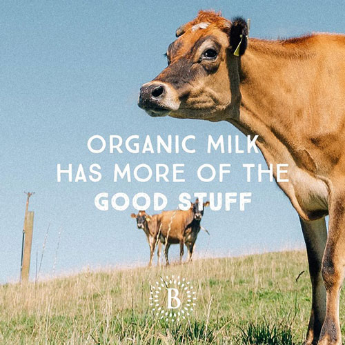 Sữa Bellamy's Organic Úc cho mẹ mang thai, lon 900g 