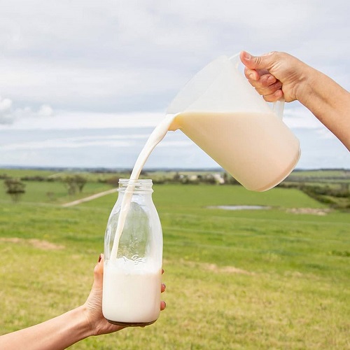 Sữa Bellamys Organic Úc số 4 cho trẻ trên 3 tuổi