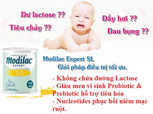 Sữa Modilac Expert LF-SL Lactose Free chống tiêu chảy cấp hộp 400g