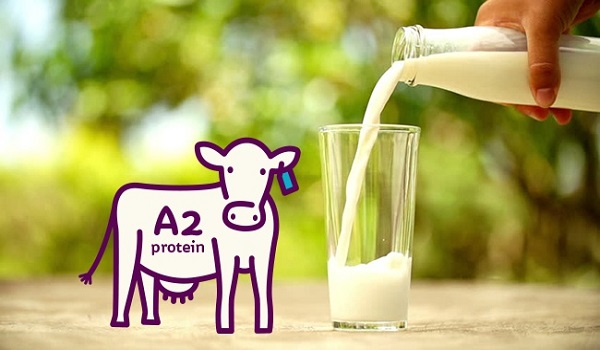 sữa bột nguyên kem A2 nhập khẩu Úc bịch 1kg