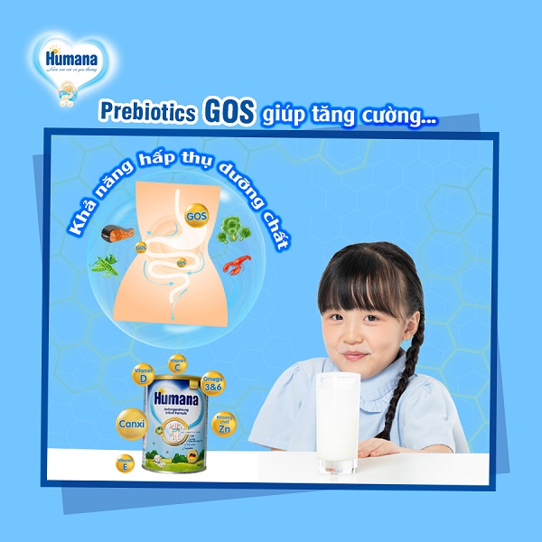 Sữa Humana Gold Plus số 3 hộp 650g cho trẻ từ 2 tuổi