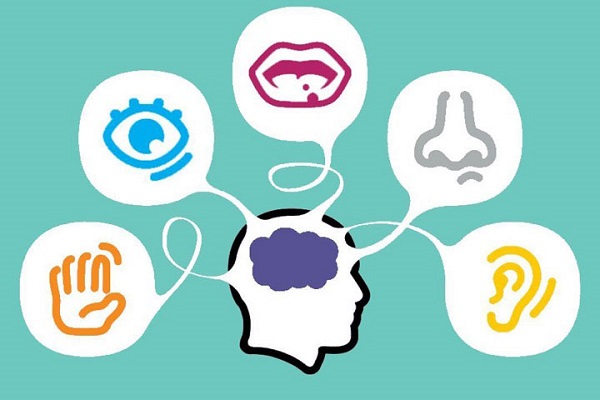 Sữa I am Mother 3 lon 800g cho trẻ 6-12 tháng