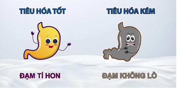 Sữa XO số 1 nội địa Hàn Quốc lon 800g cho trẻ 0-6 tháng tuổi