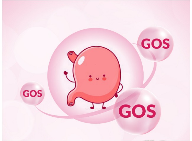 Sữa XO số 1 nội địa Hàn Quốc lon 800g cho trẻ 0-6 tháng tuổi