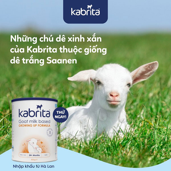 Sữa dê Kabrita số 3 lon 800g cho trẻ từ 24 tháng