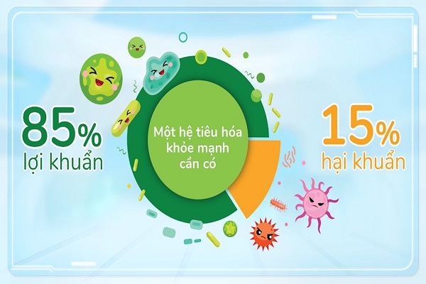 Sữa Dielac Alpha số 2 lon 400g cho trẻ 6-12 tháng tuổi