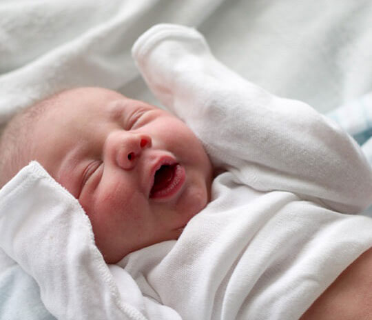 Sữa Enfalac Premature A+ cho trẻ sinh non từ 0 - 12 tháng, hộp 400g