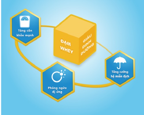 Sữa Eurofit A+ cho trẻ 1 đến 6 tuổi lon 900g